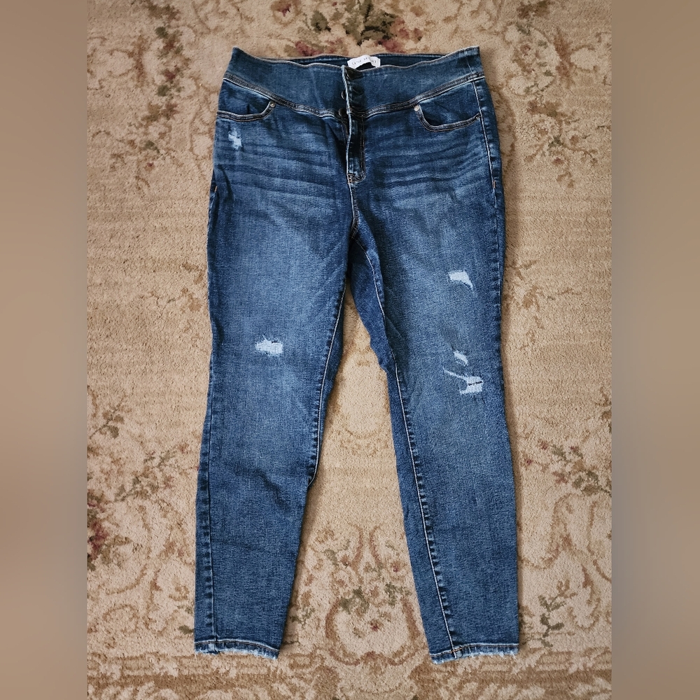 Lane Bryant Dark Blue Skinny Jeans
